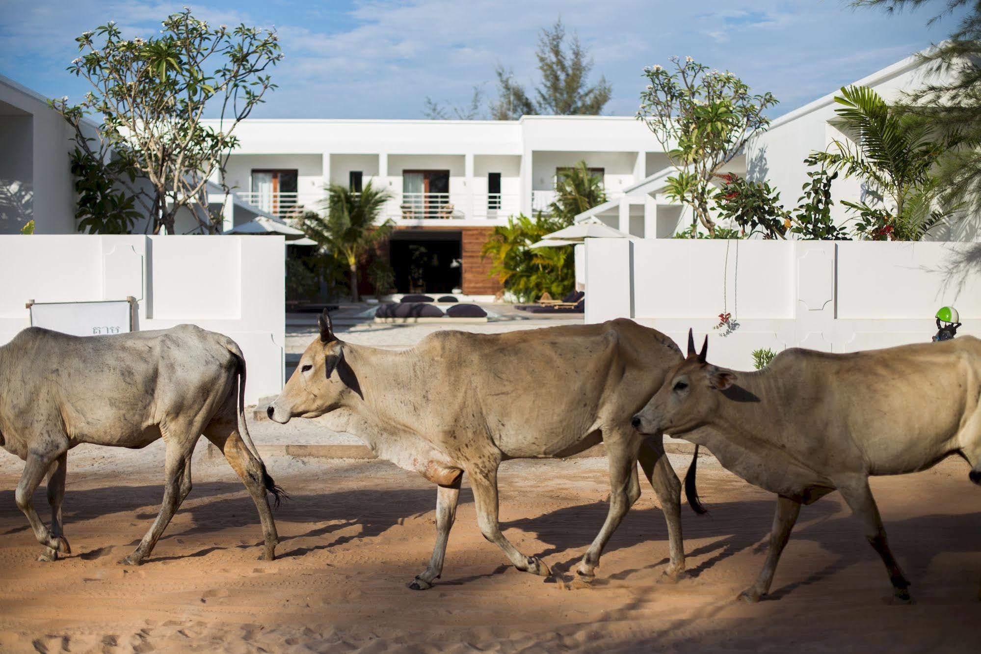 Hotel Tamu Otres Preăh Sihanŭk Zewnętrze zdjęcie